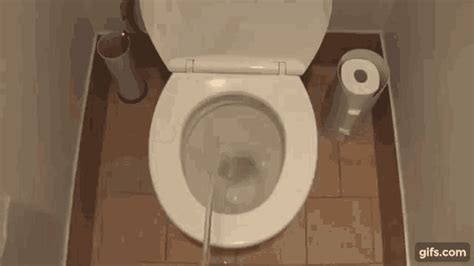 bathroom anal gif|bathroom